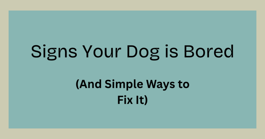 Signs Your Dog is Bored - And Simple Ways to Fix it